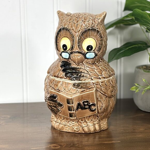 Vintage Owl Cookie Jar Retro Pottery Kitchen Canister Wise Owl Teacher - Picture 1 of 16